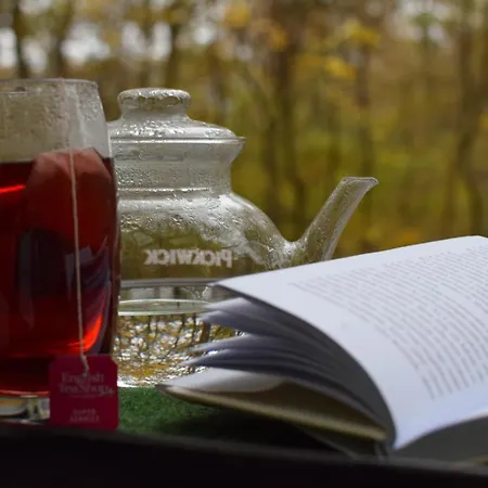 Borzsonyi Ekszerdoboz Verőcemaros